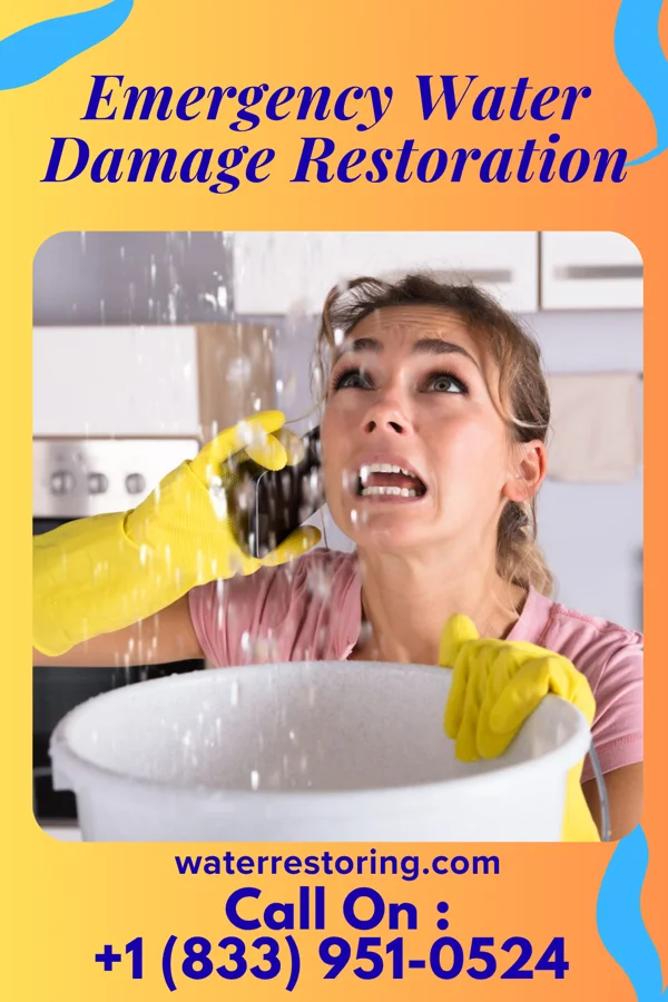 Emergency Water Damage Restoration in Bullhead City, AZ